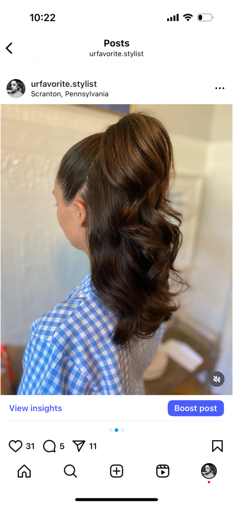 Prom Hair Styling Appointment