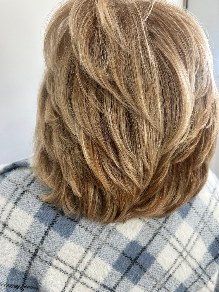 Hair Highlights Full