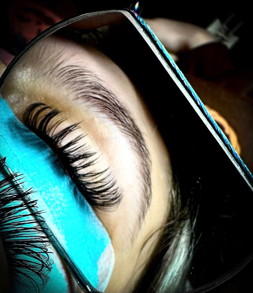 Wet Set Lashes