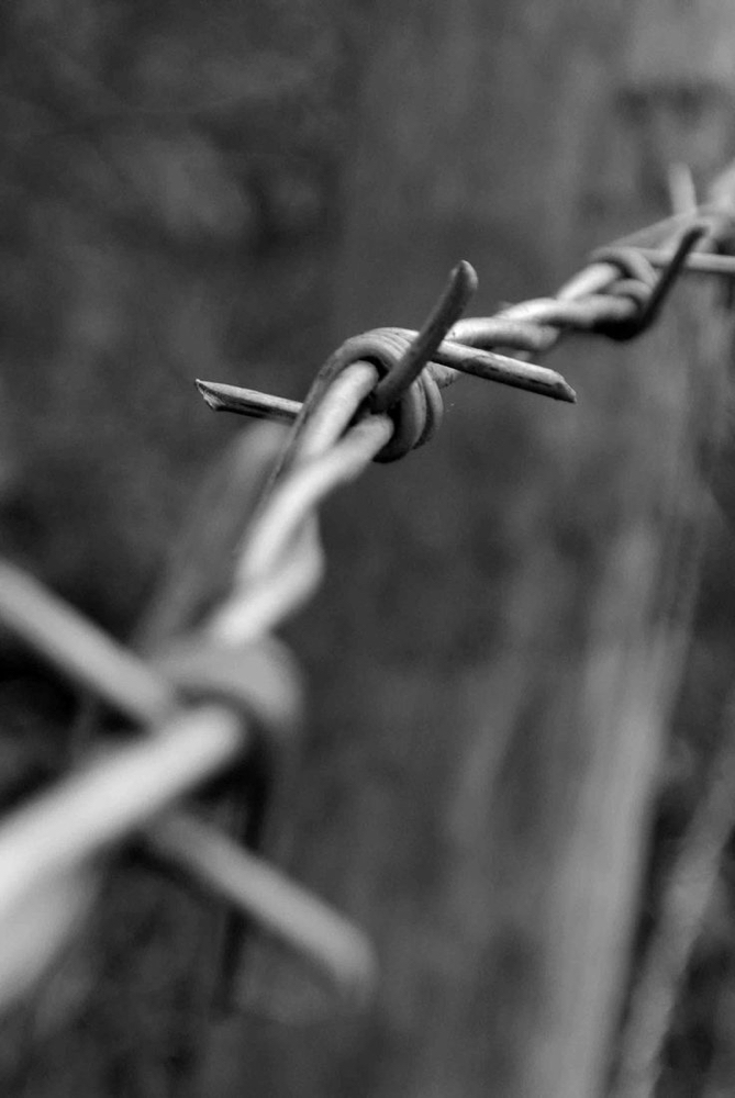 Face Frame Highlight at Salon Idyll in Rochelle, IL