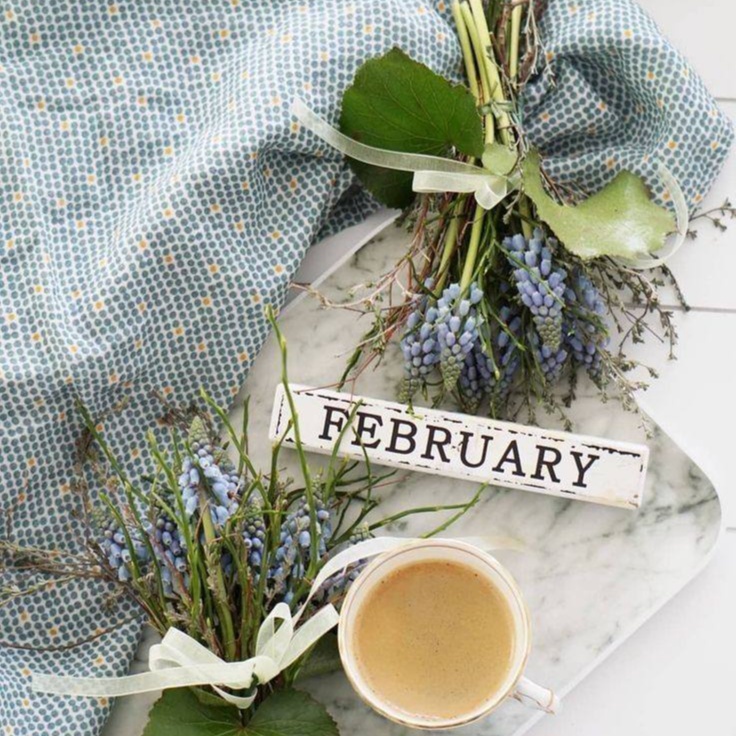 February Special at Beauty Lab by Irina in Plano, TX