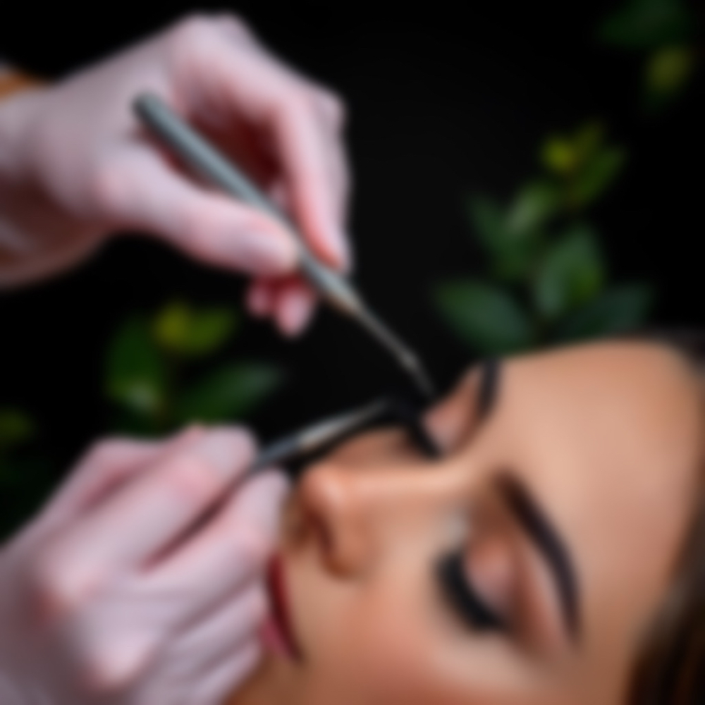 Lash Lift & Tint at Glossed by Elysia in Brighton, CO