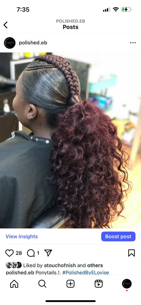 Extended Ponytail