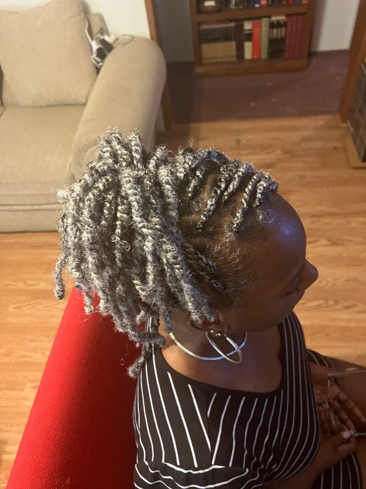 Spring Twists (w/ hair added)