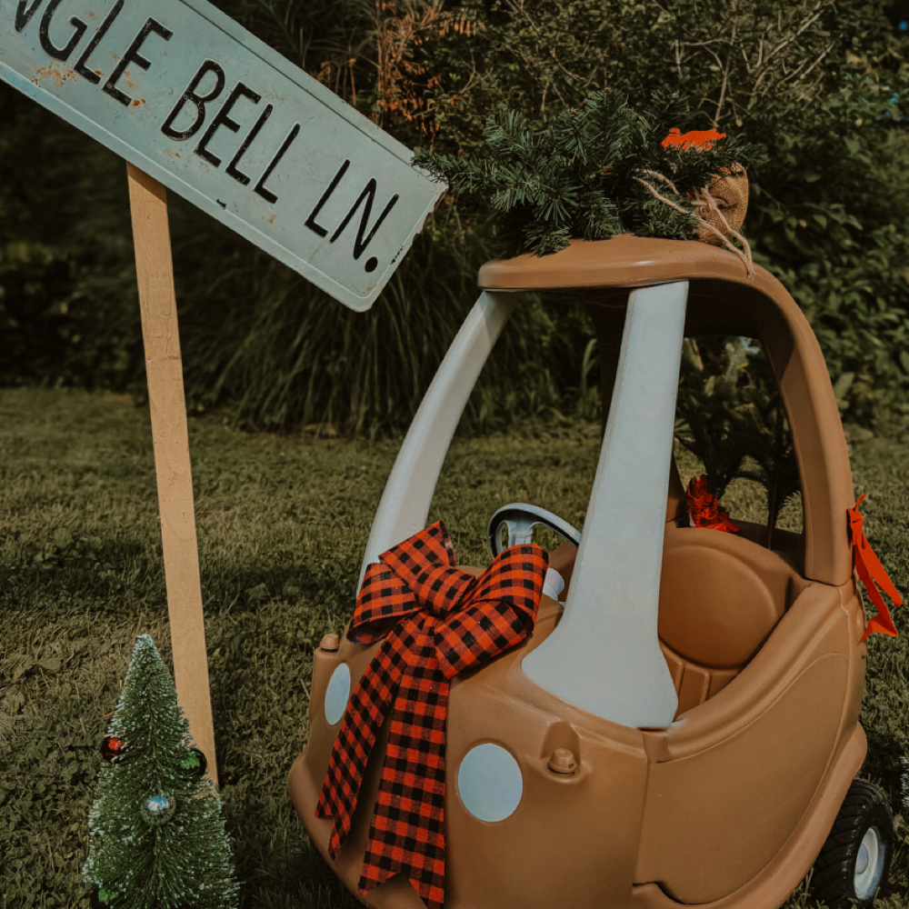 Jingle Bell Ln Mini at Mckenzi Taylor Photography in Springfield, MO