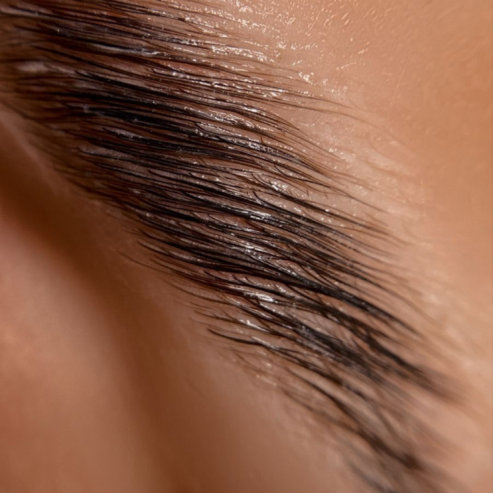 Brow Tint at Hailey States in Delaware, OH