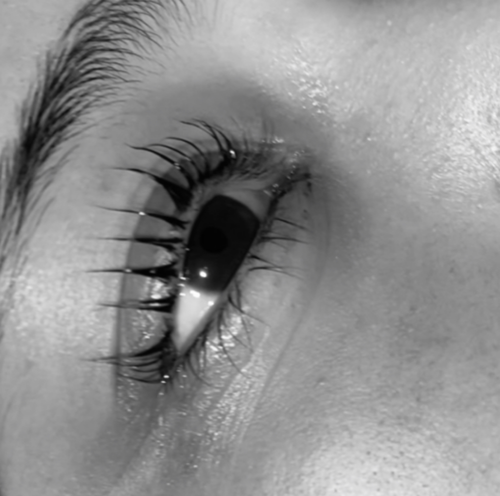 Lash Lift + Tint at Skin by Giselle in Commerce City, CO