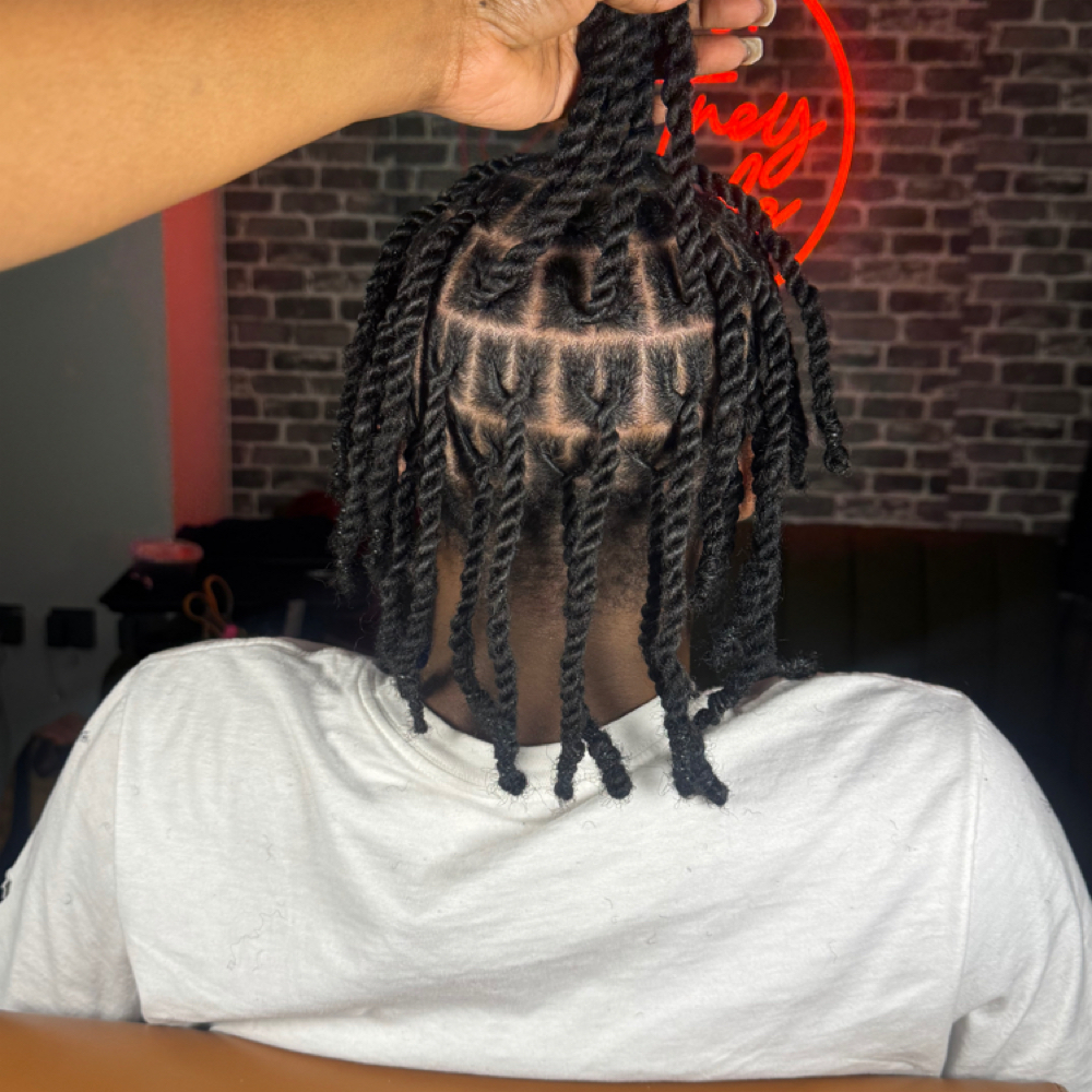 Plaits & Twists at Loc'd by Courtney Nicole in Missouri City, TX