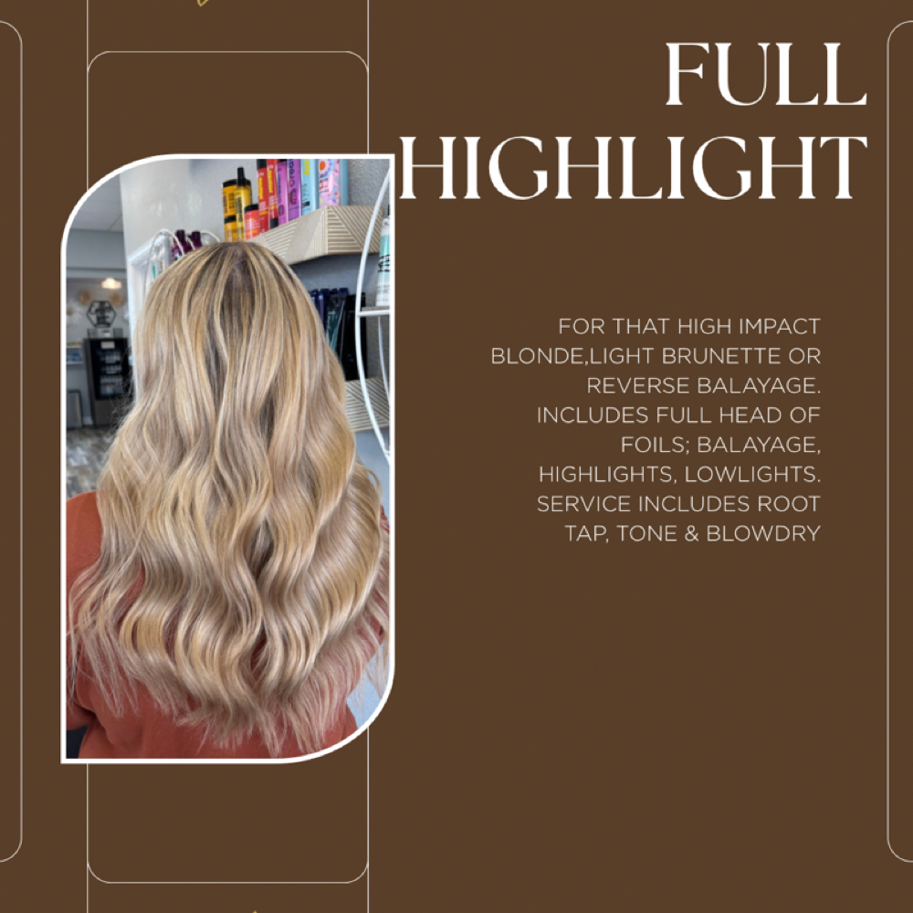 Full Highlight at Hair By Aubsss in Lenexa, KS