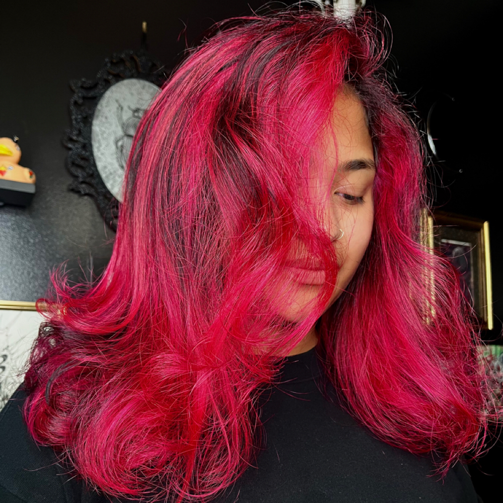 Double Proccess (Fashion Color) at Spellbound Hair Studio in Livonia, MI