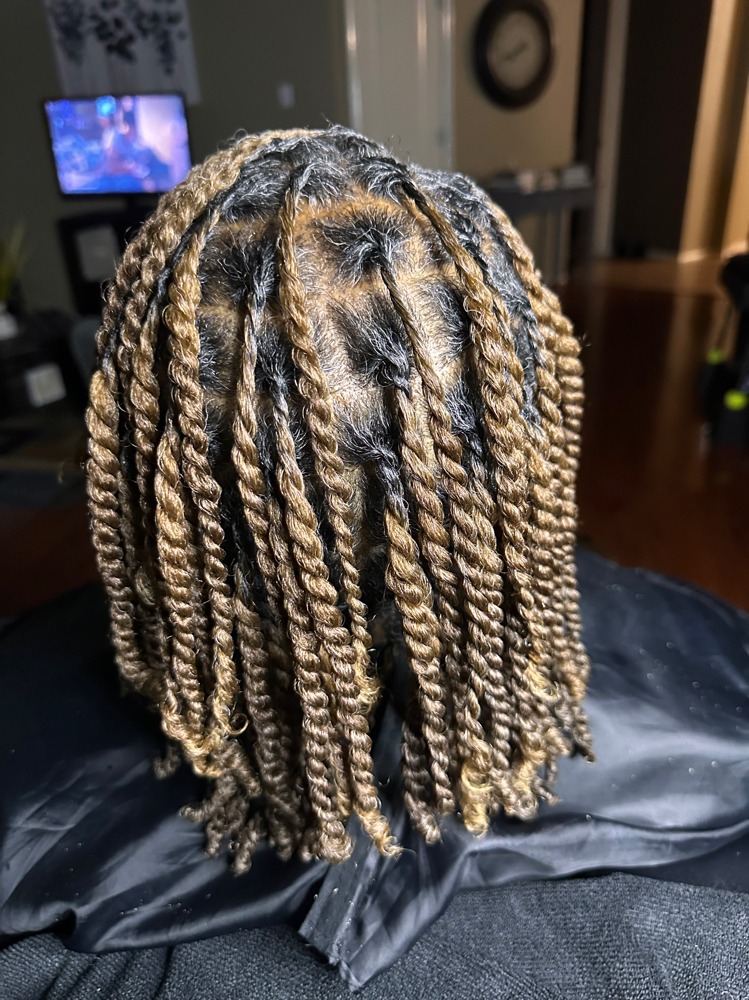 2 Strand Twist (natural hair)