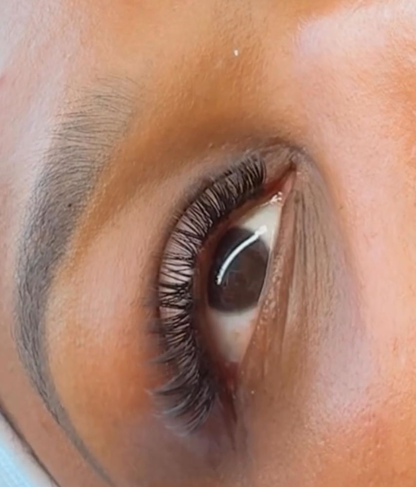 Lash Clusters