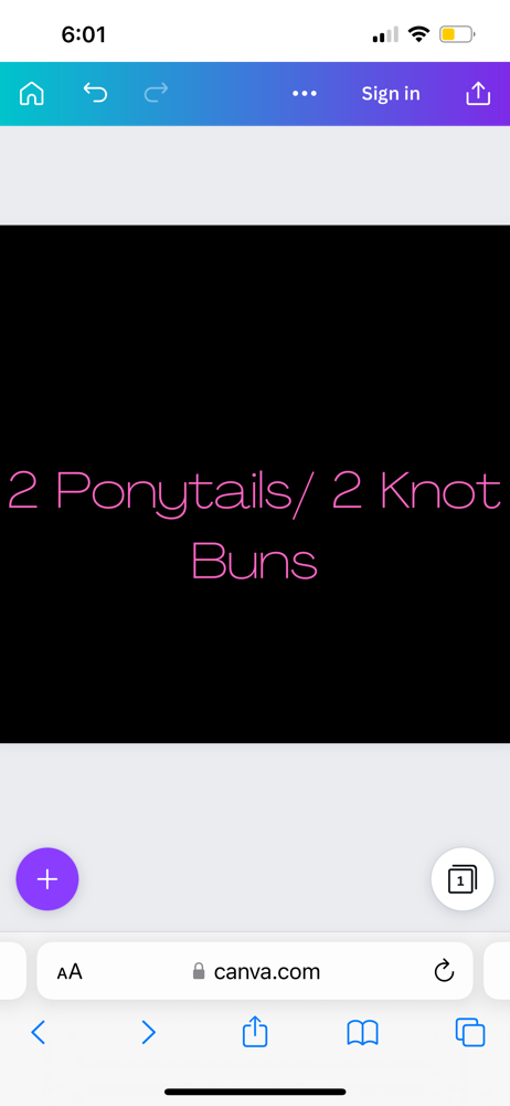 2 Ponytails/ 2 Knot Buns