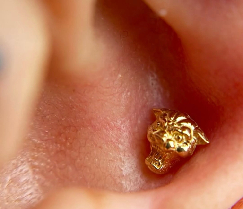 Conch Piercing Age 13+