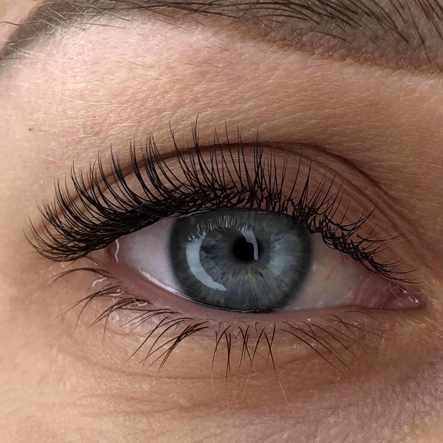 Single 1-2 weeks refill