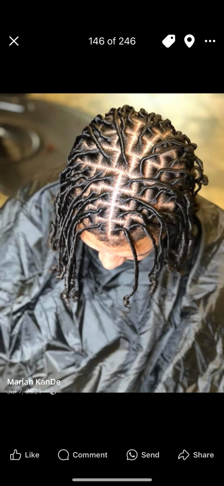 Starter Locs