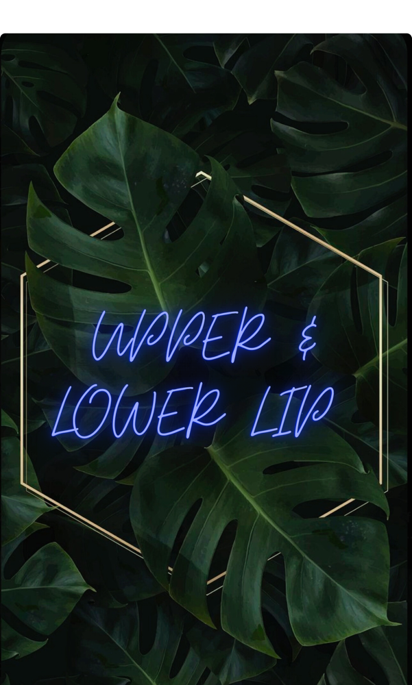 Upper Lip / Lower Lip