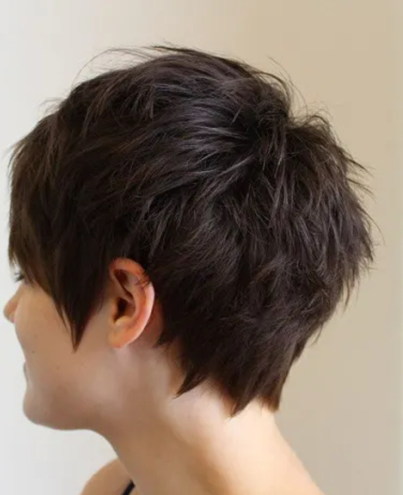 Signature Haircut