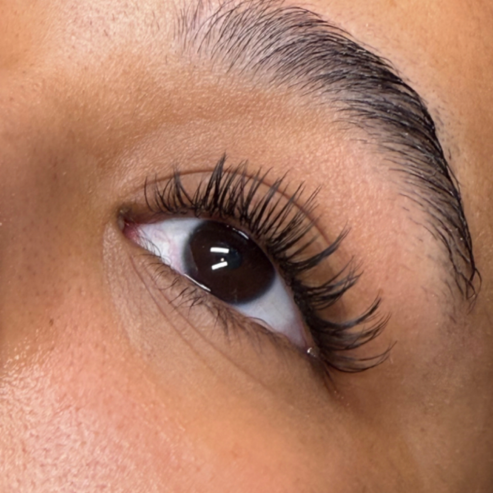 Classic Lash Fill | Buckhead at Superlative Wax & Lash in Atlanta, GA
