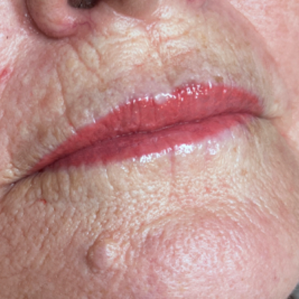 Lip Blush at Sharpe Brows in Quincy, IL