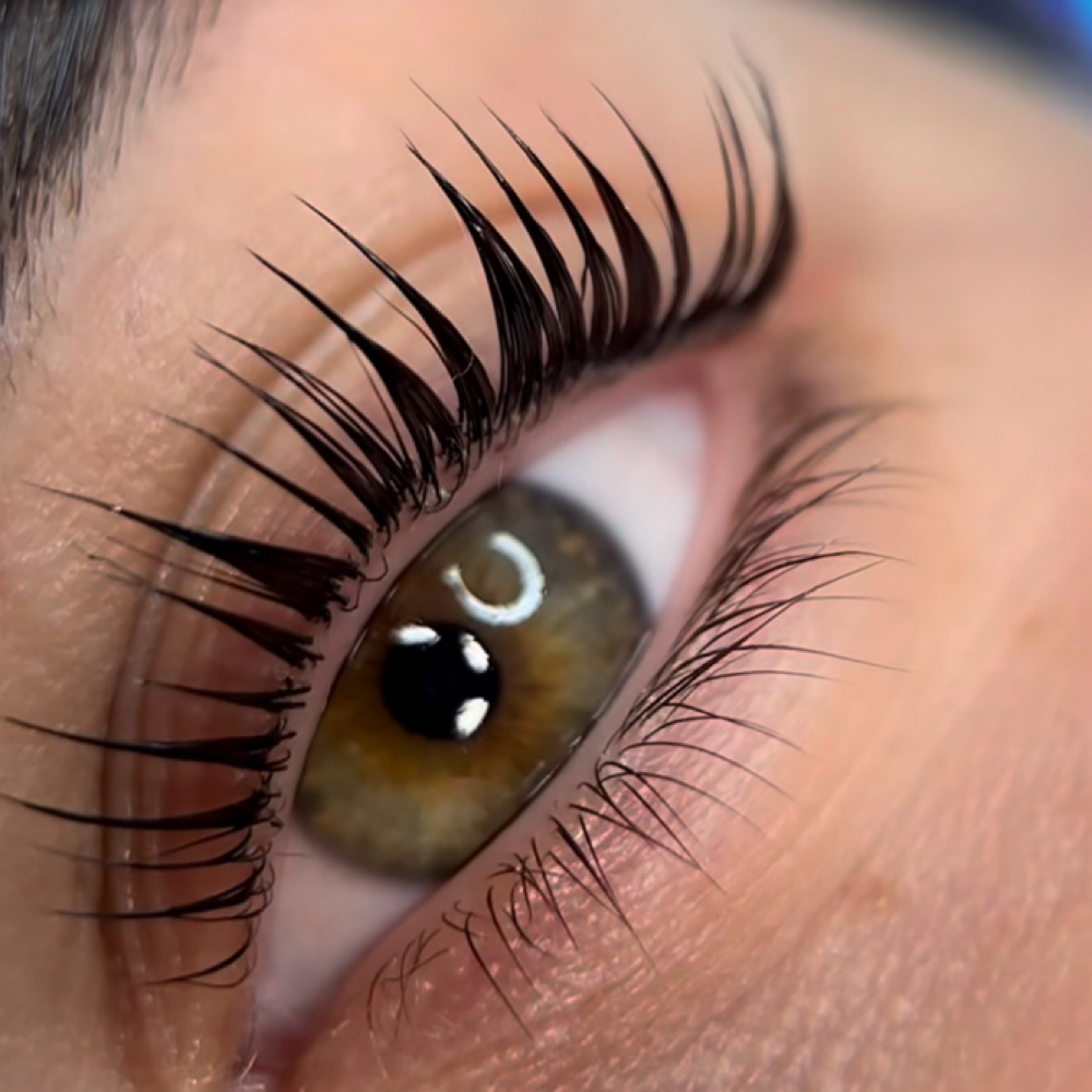 Korean lash Lift at Disco BrowGirl in Oklahoma City, OK