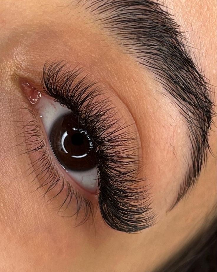 Eyelashes  Volume Full Set
