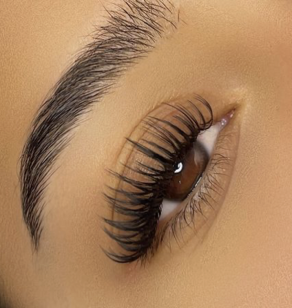 Strip Lash