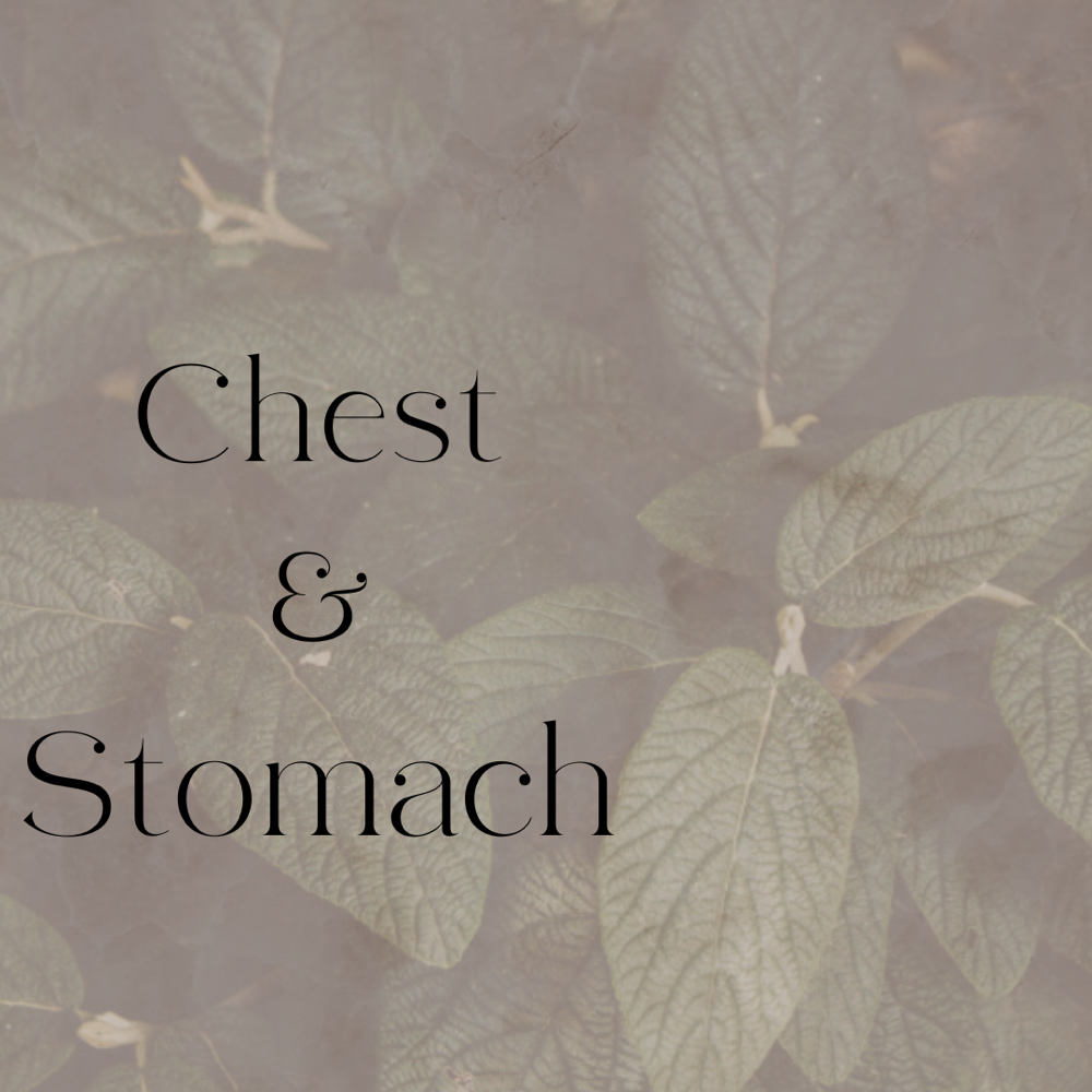 Chest And Stomach
