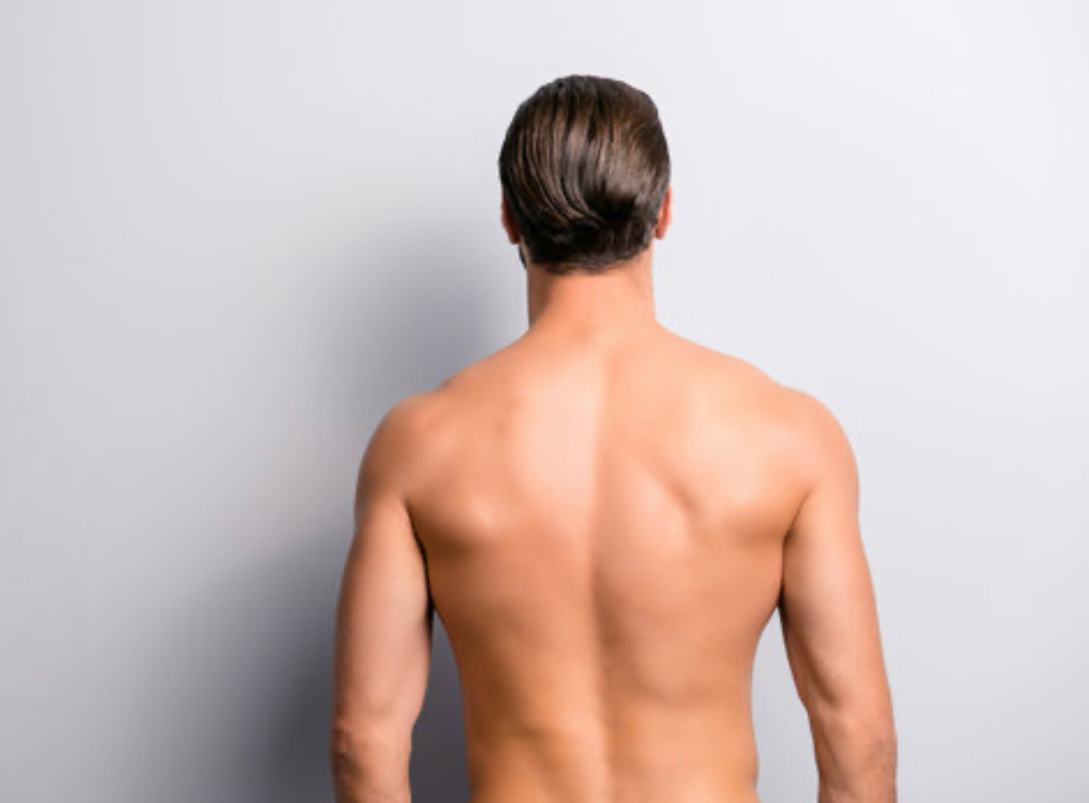 Back (Full)