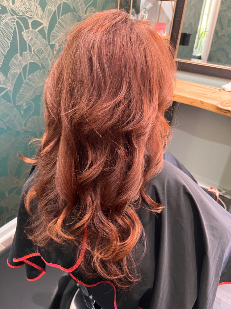 Haircolor Retouch & Haircut Blowdry