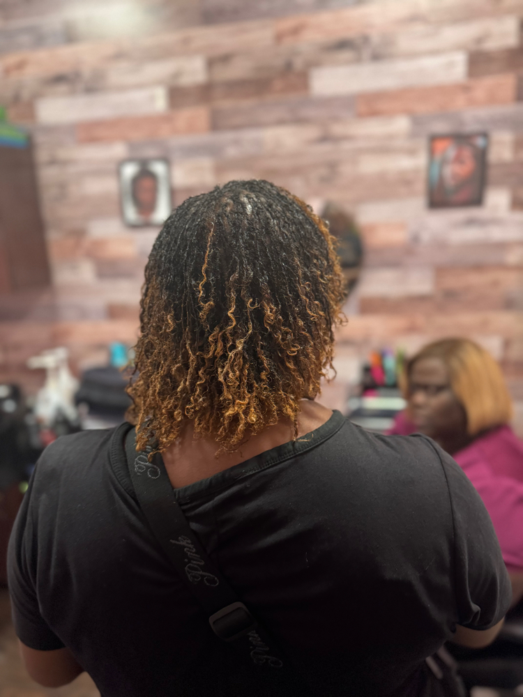 Micro Locs 4-6 Weeks 300-380 Locs