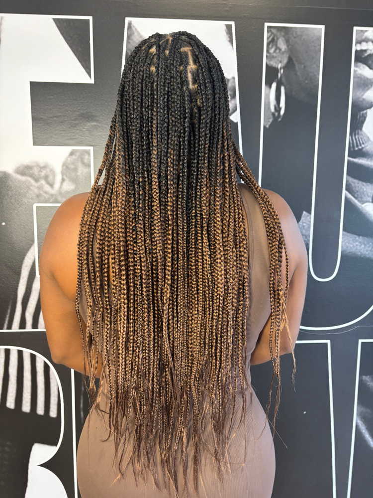 Knotless Box Braids