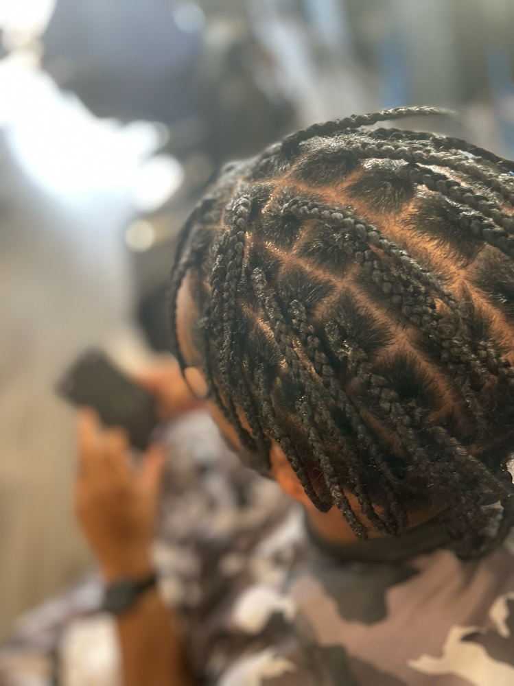 3-Strand Plaits (Partial Head)