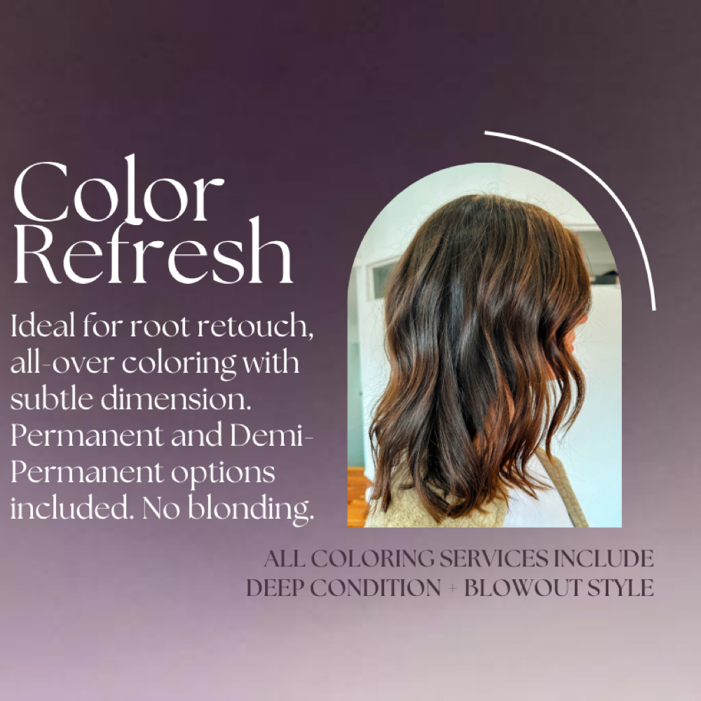 Color Refresh at Sam at Foil Hair Co. in Hudson, OH