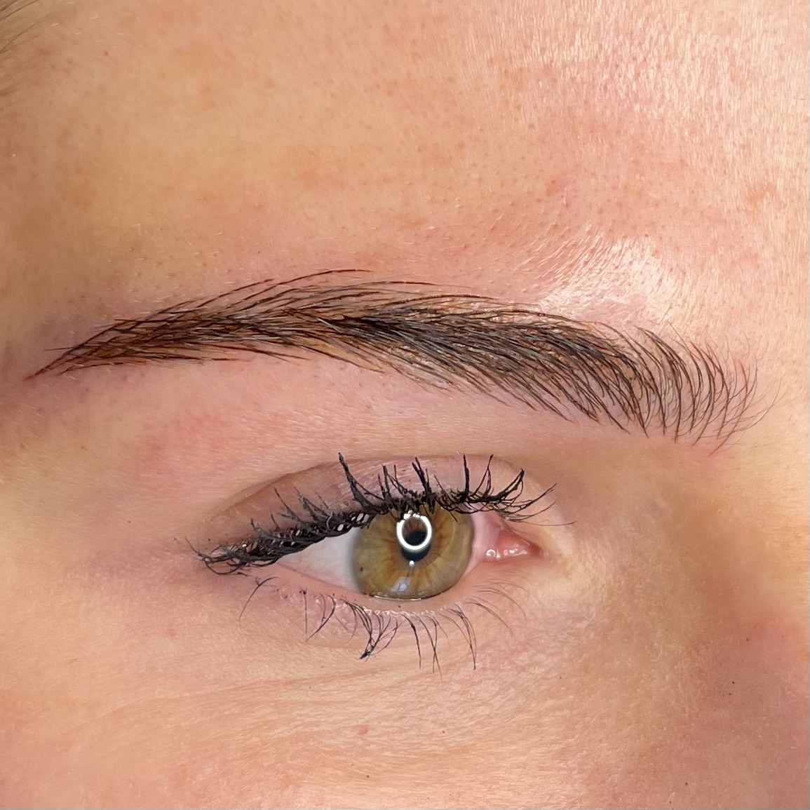 The Nano Brow