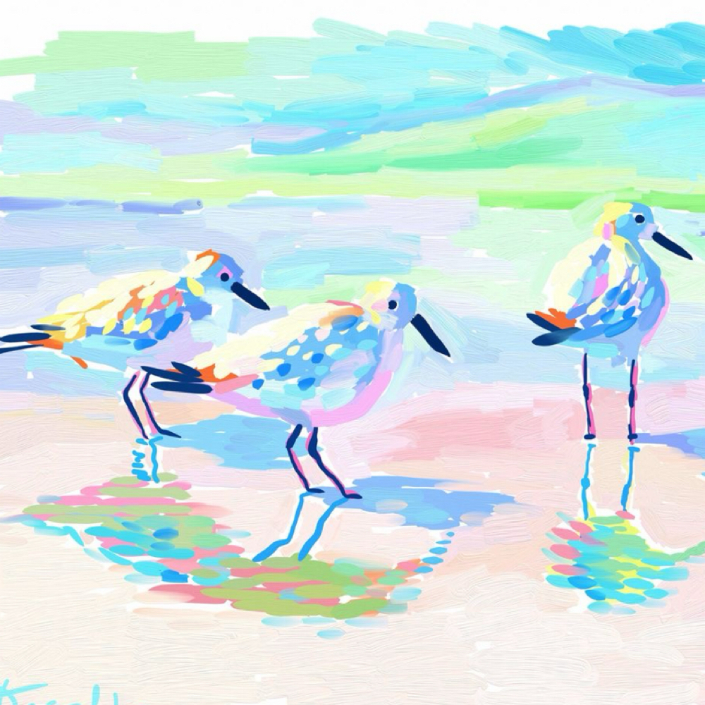 Mini Foiling Package