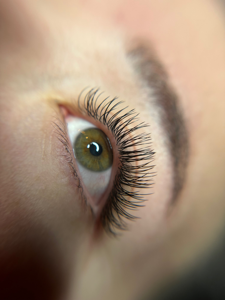 Full Classic Lash Extensions at Morgan Hair Company in Plymouth, MI