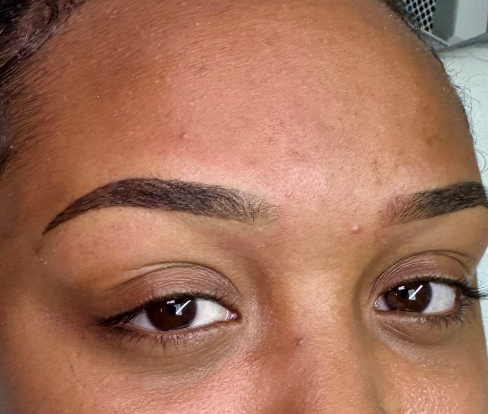 4-6 Week Touch Up (Microblading & Ombré Powder) at Browbladedink in Irvine, CA