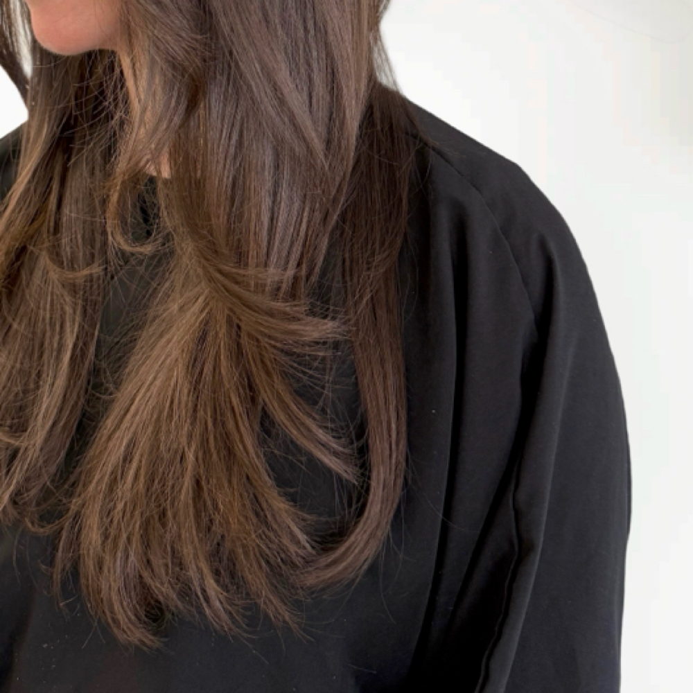 SHINE GLOSS + BLOWOUT at Salon Presley in Cicero, NY