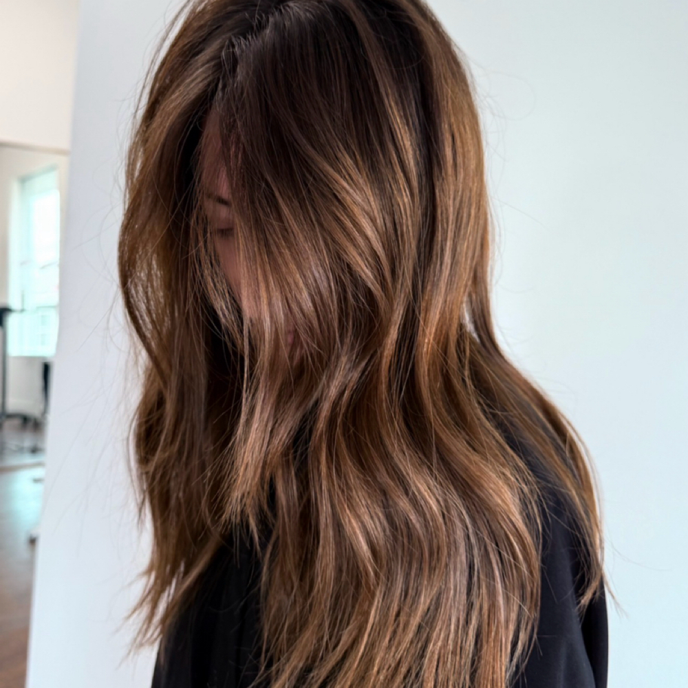 SHINE GLOSS + BLOWOUT at Salon Presley in Cicero, NY