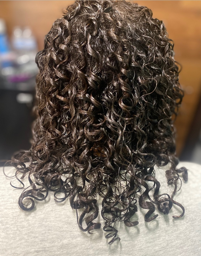 Trim And Blowdry Only
