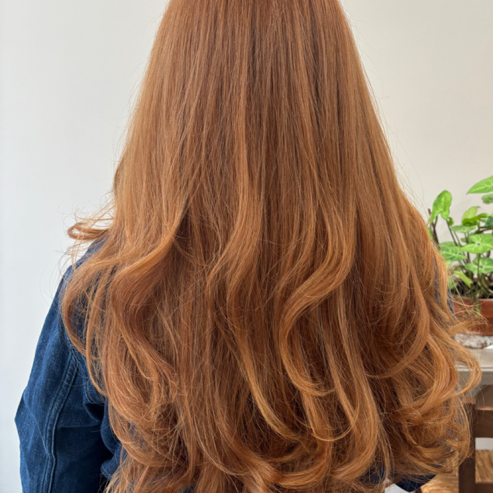 Full Head Highlights(medium Hair) at Elaine Spellman in Skillman Ave, NY