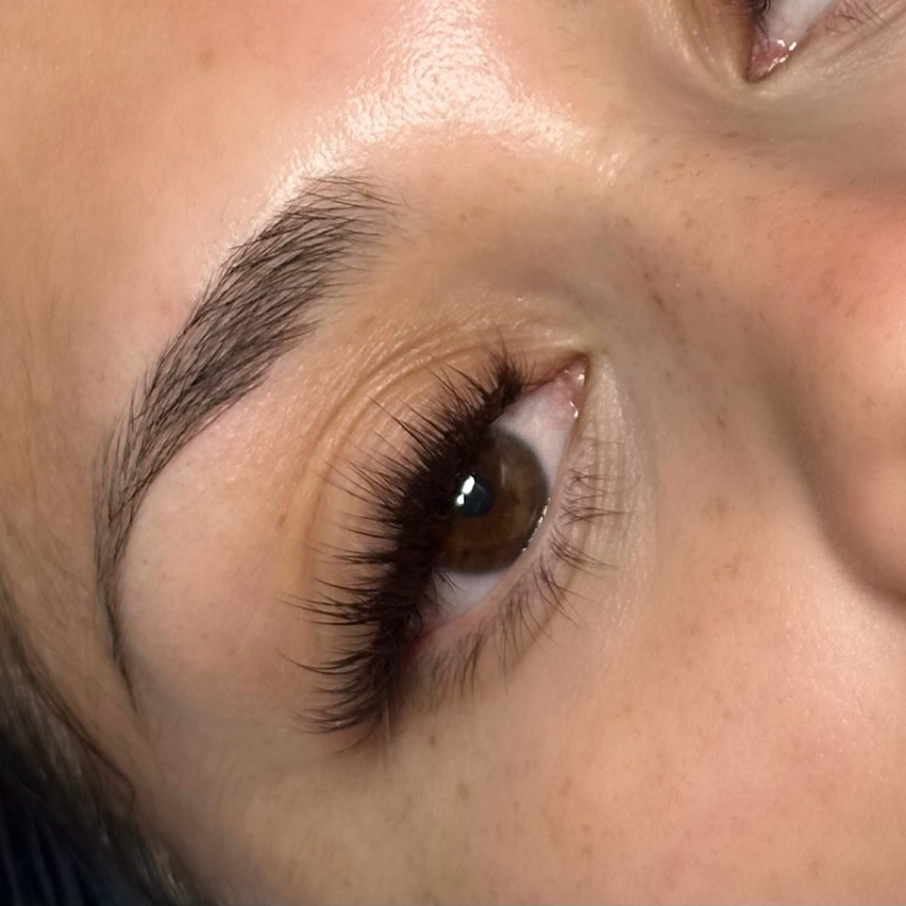 Brownie Volume at eyelovelashstudio in San Antonio, TX