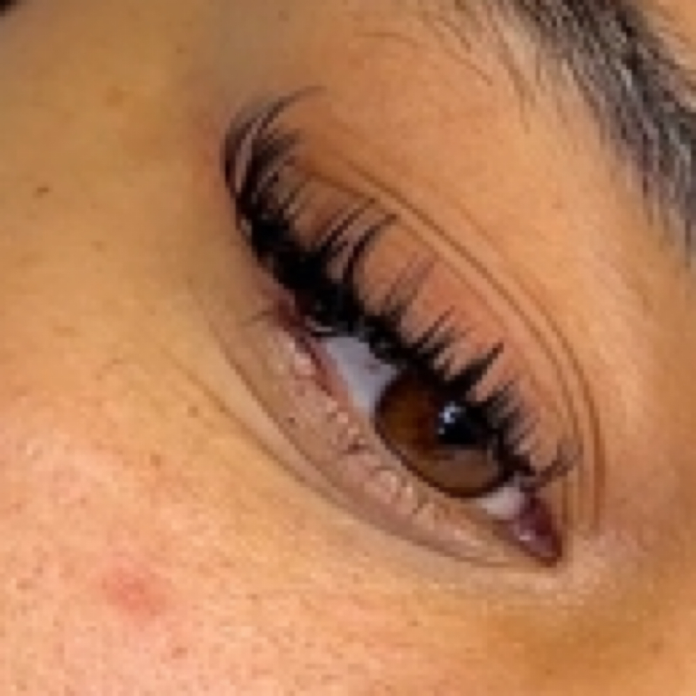 Wet Set “Suga Babe Set” at EyeHaus Beauty in Houston, TX