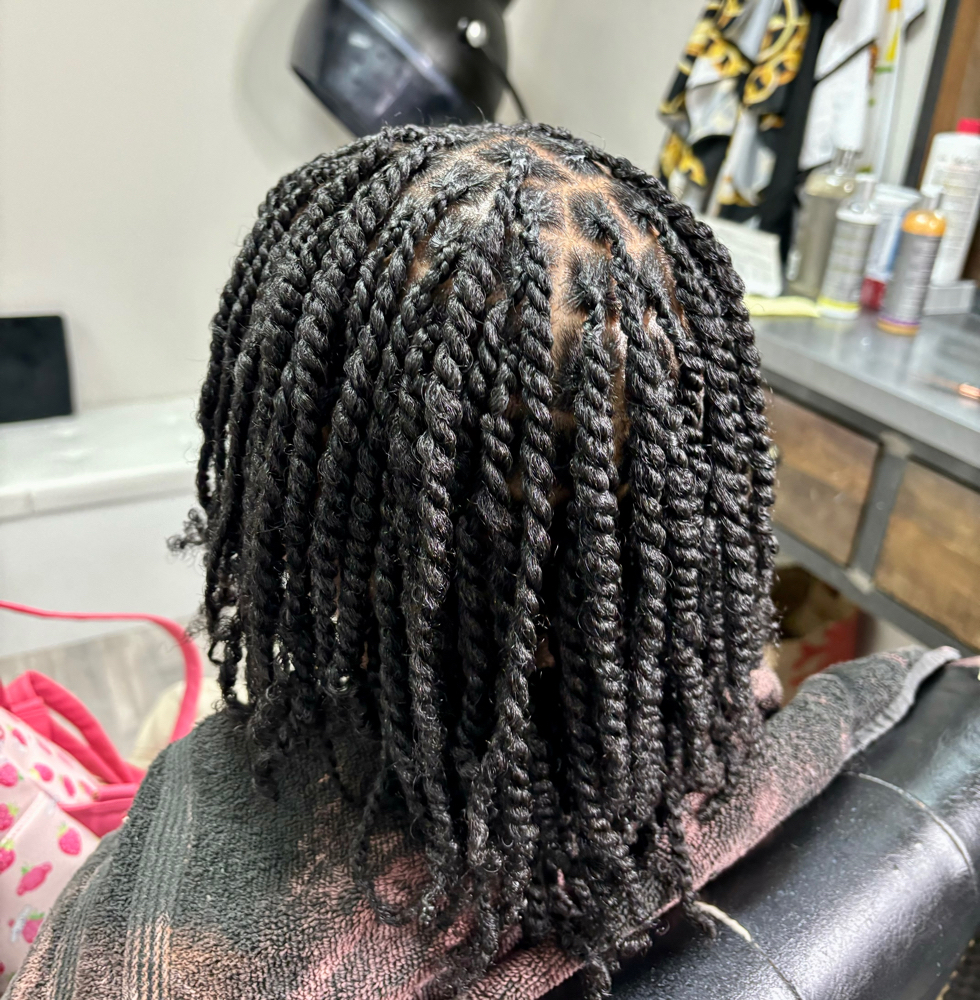 Two Strand Twist