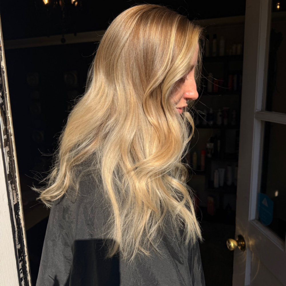 Shadow Root at Hair by Webb in Tupelo, MS