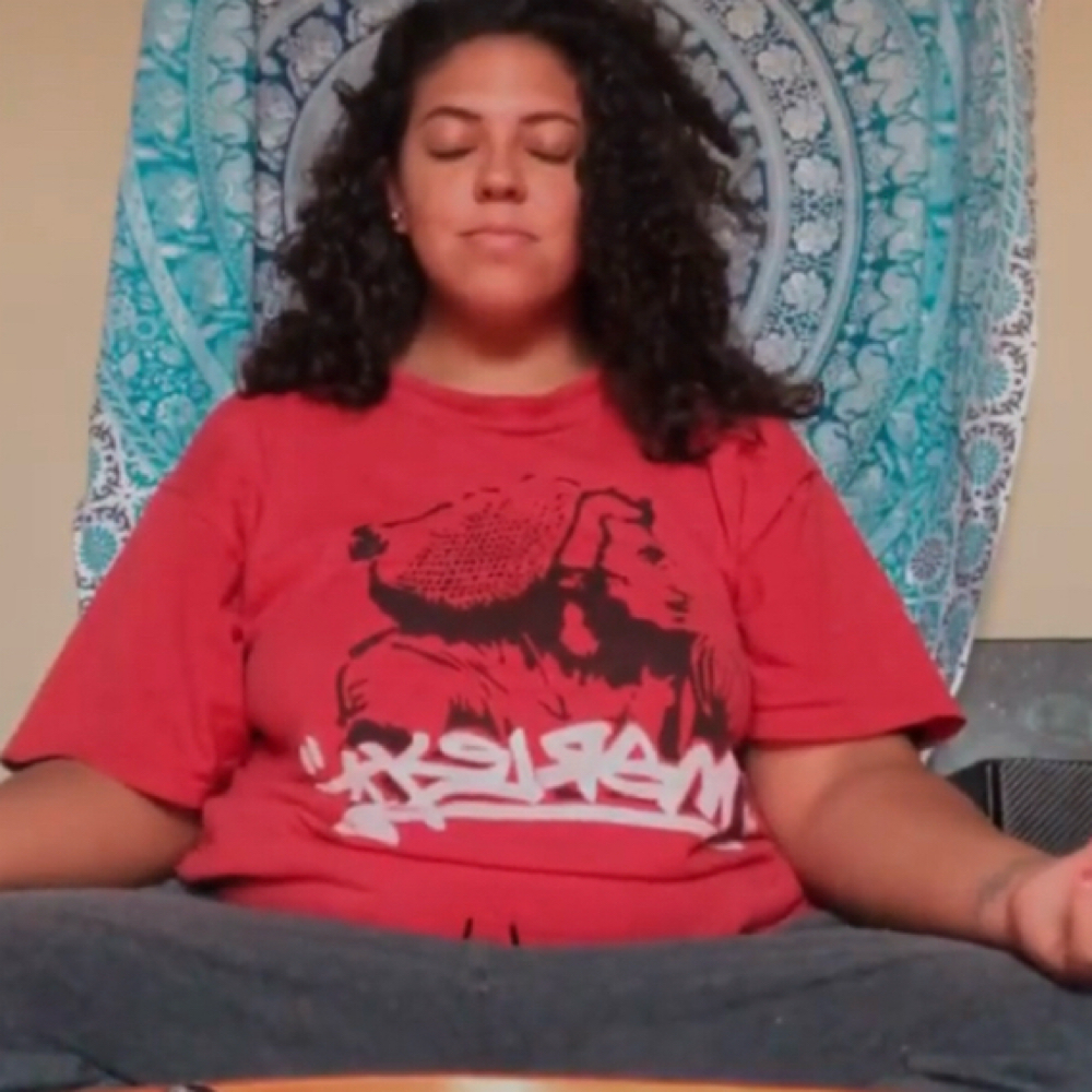 Guided Meditation- 20 Mins at Revitalized Healing LLC in Indianapolis, IN