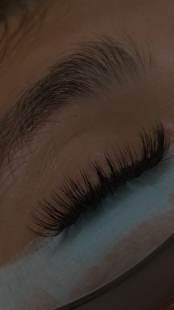 Classic Lashes