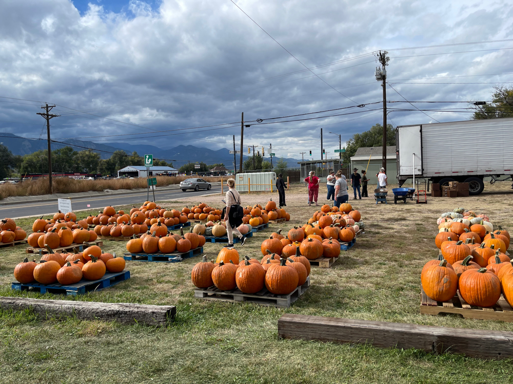 Fall Festival