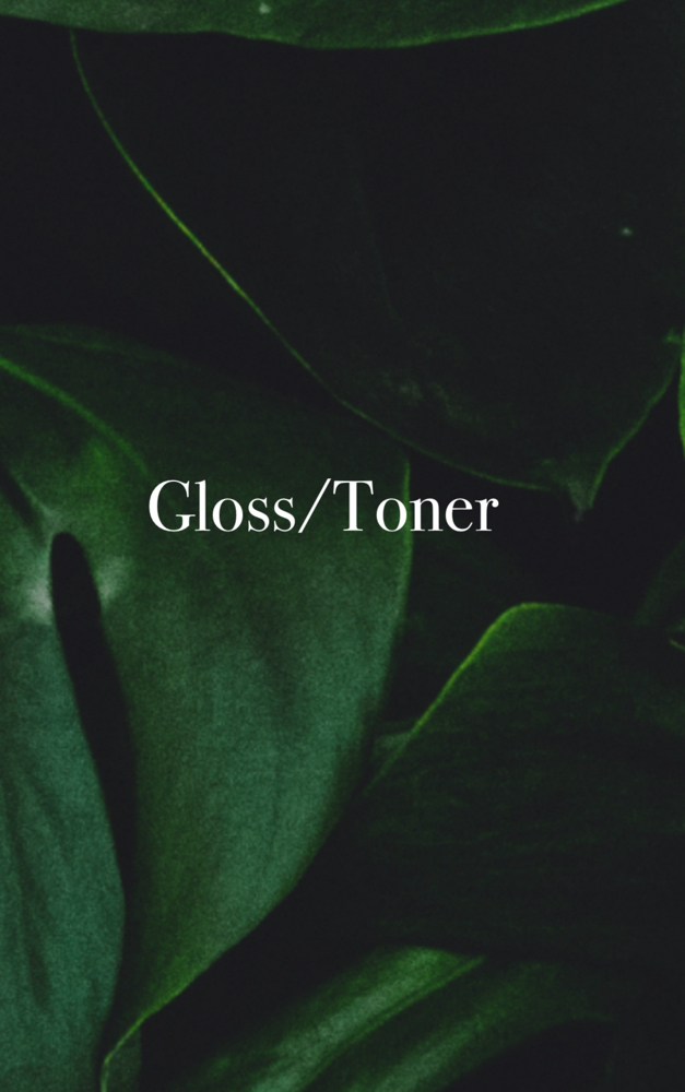 Gloss/Toner at Anestie Beauty Lounge in Franklin Square, NY